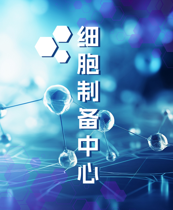 ���߲���