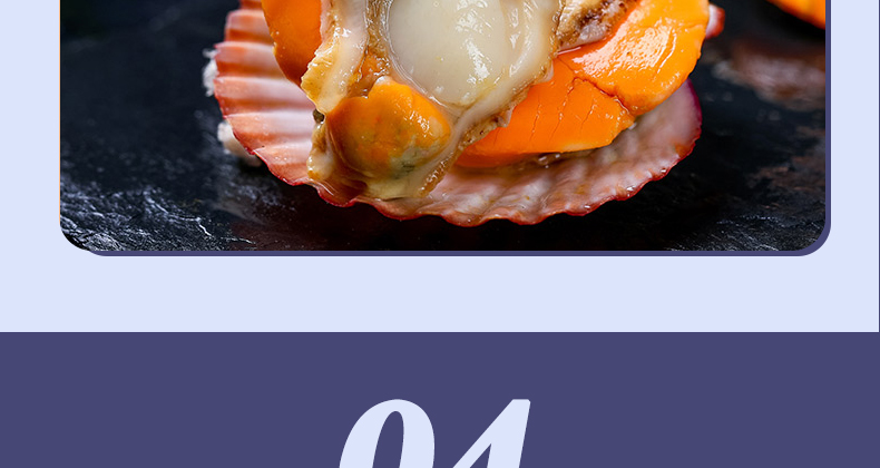 1-2211301GTC96 6.jpg