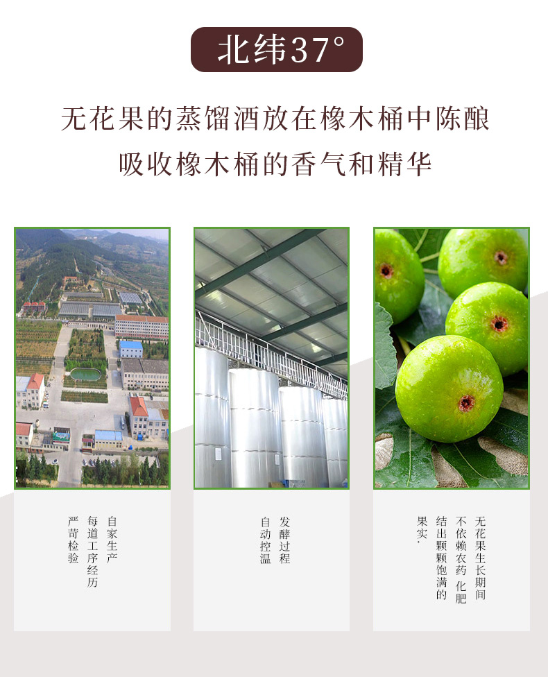 1-221212163TB28 3.jpg