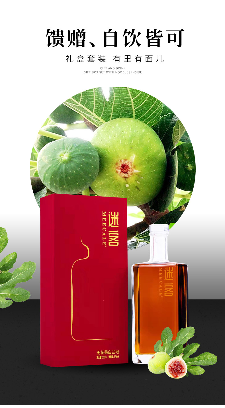 1-221212163TR03 5.jpg