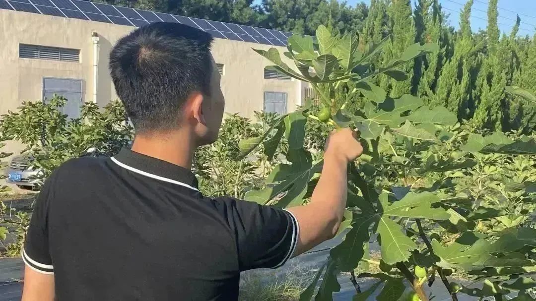 2-2310231046455Z 2-2310231046455Z